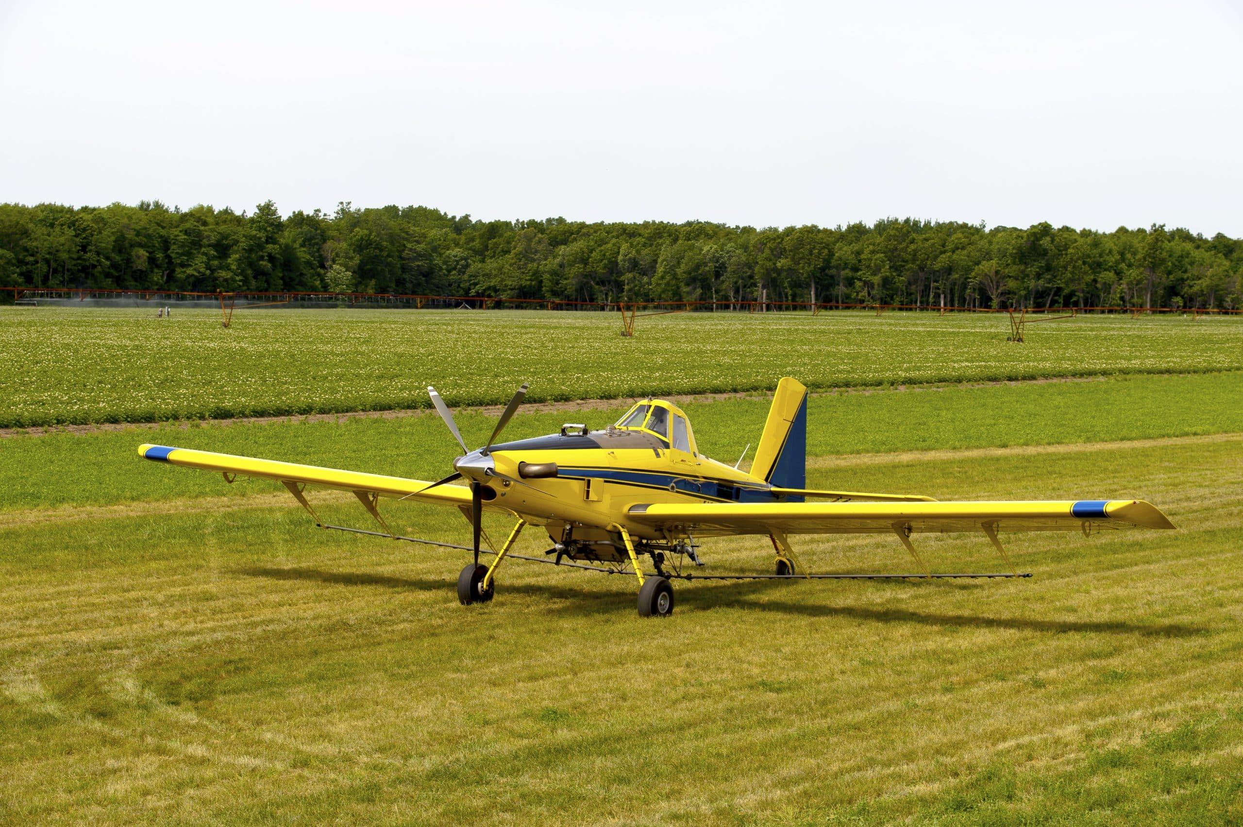 Ag planes